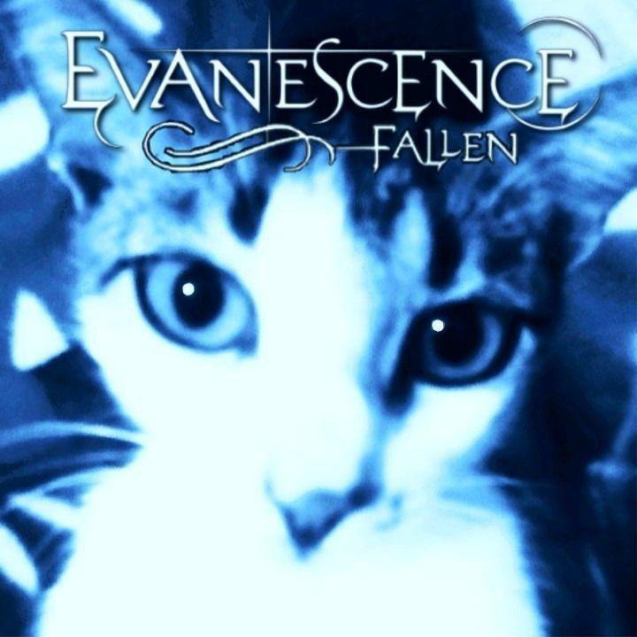8baldosa avatar