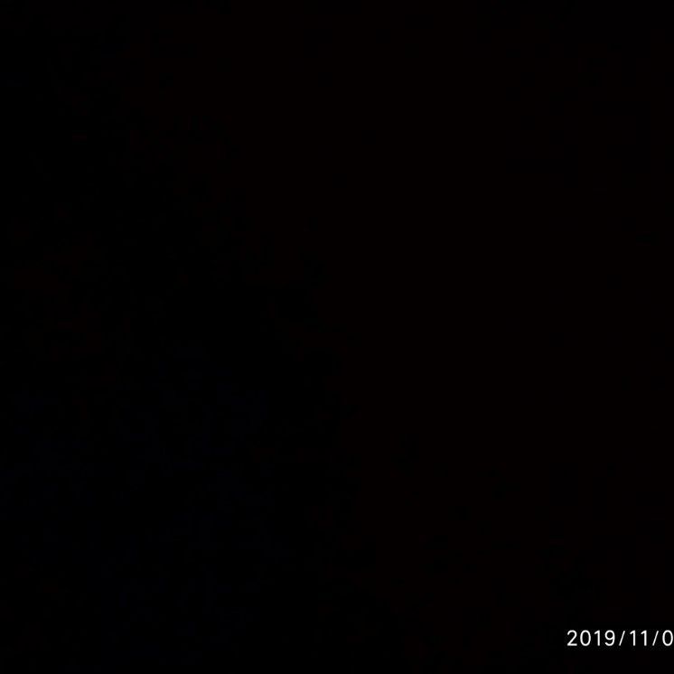 LIDN1K