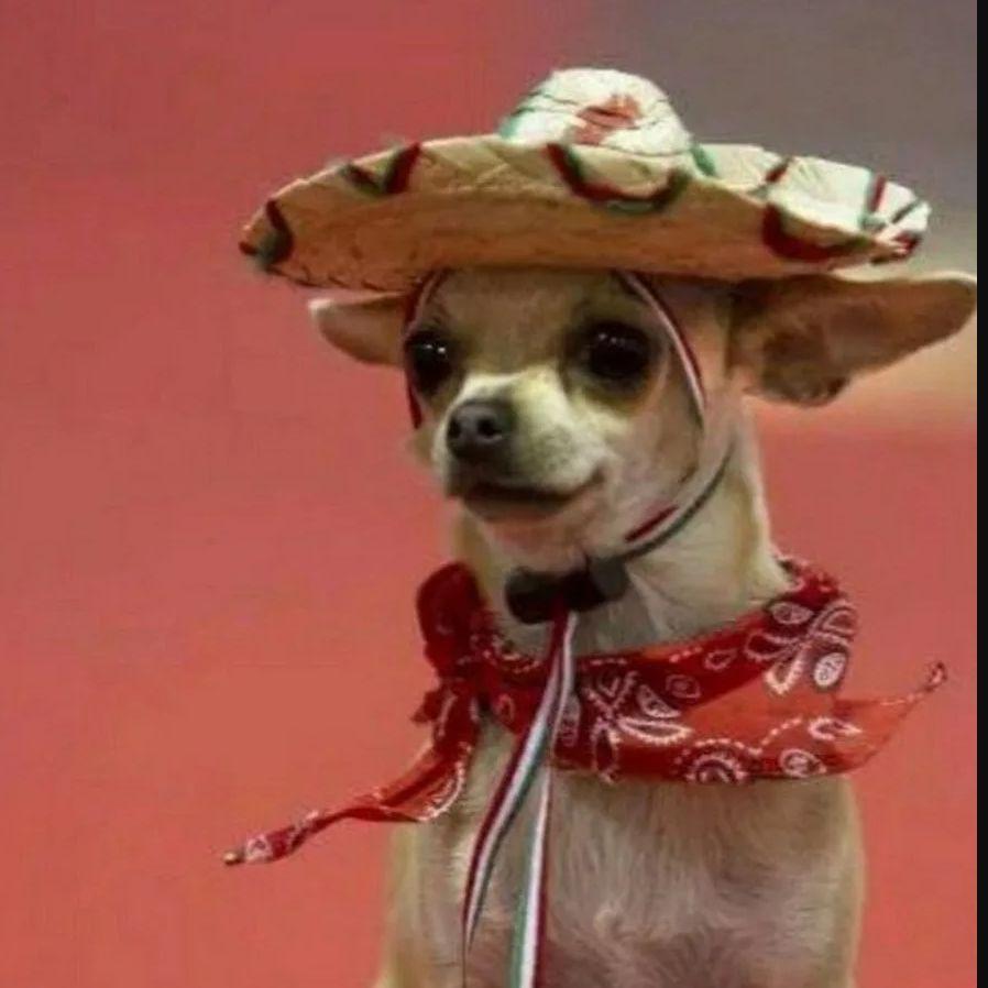 B4STERITOS avatar