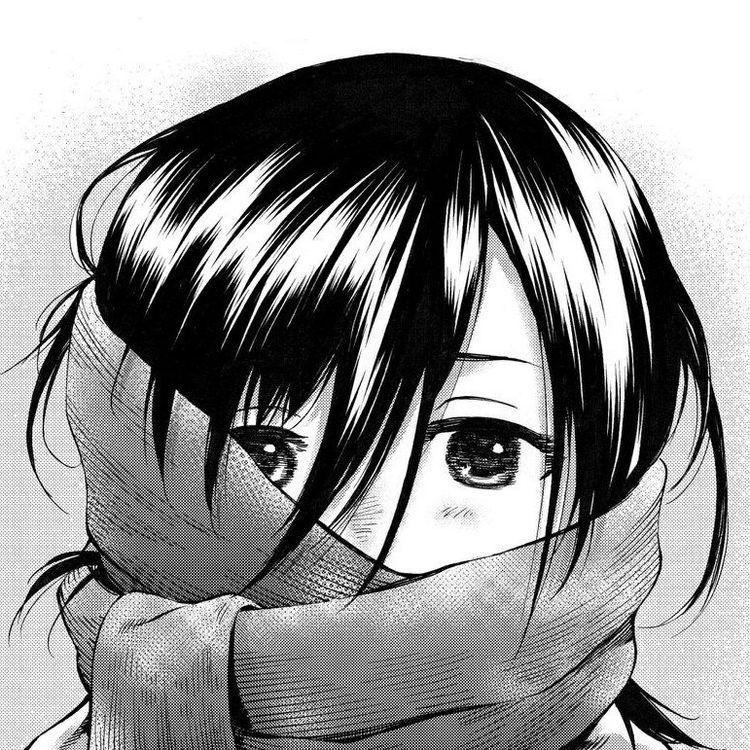 ycy13 avatar