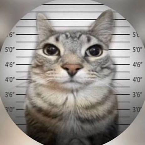 Nagubator7 avatar