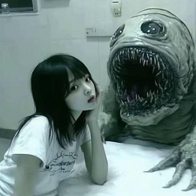 -haijin avatar