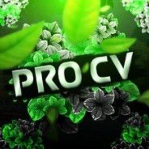 Pro_Cv avatar