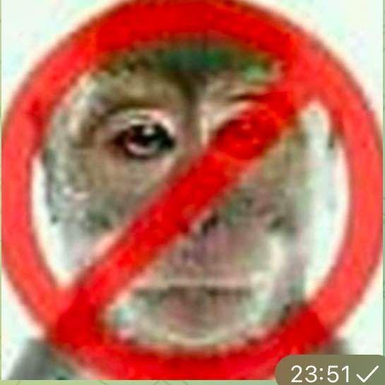M4lbus avatar