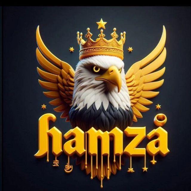 Hamza_Amir avatar