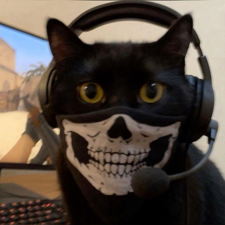 d0nti avatar