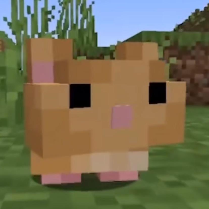 Lidrim avatar