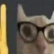 nicpo avatar