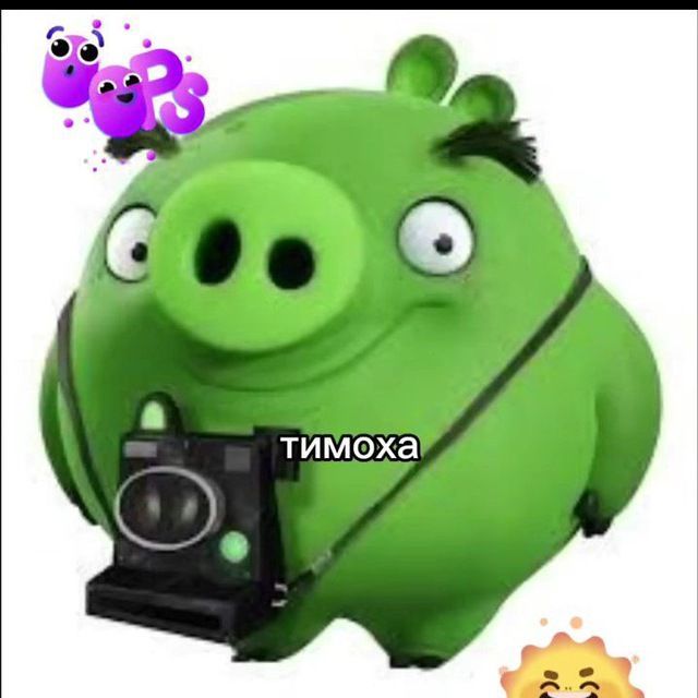 Tim0shka20