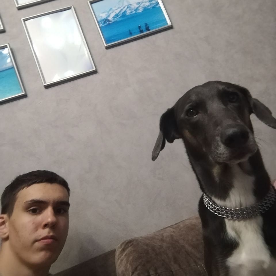 rezeque