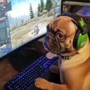 Chillman777