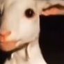 Tek_onli