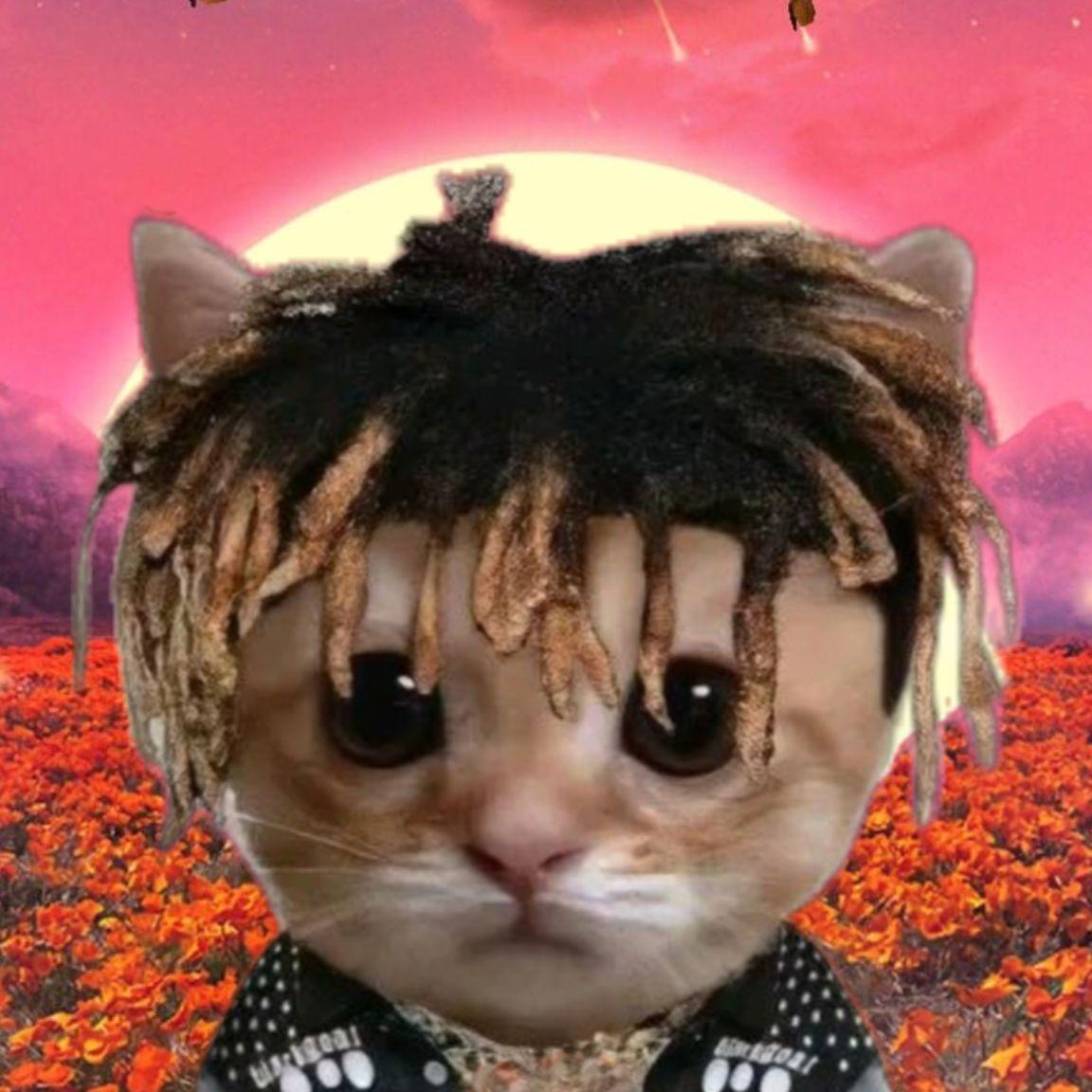 Artem1nyo999 avatar