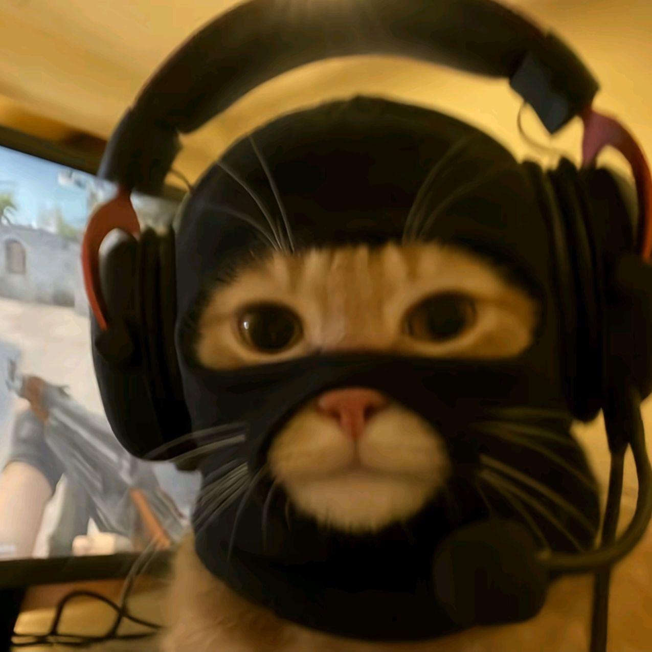 b0p___ avatar