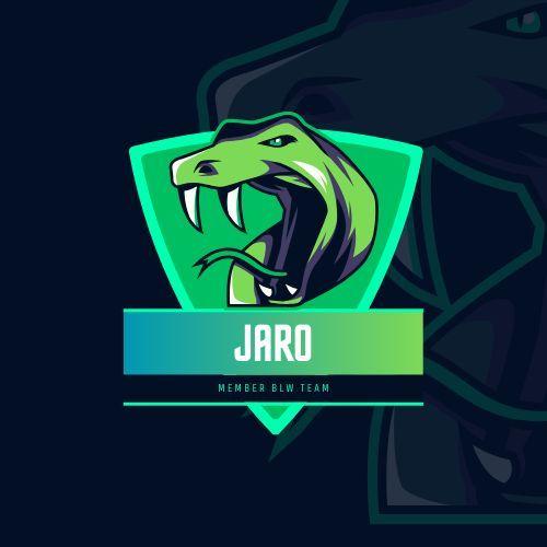 Player Jaro0o0 avatar