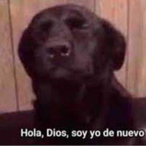 AndresM25 avatar