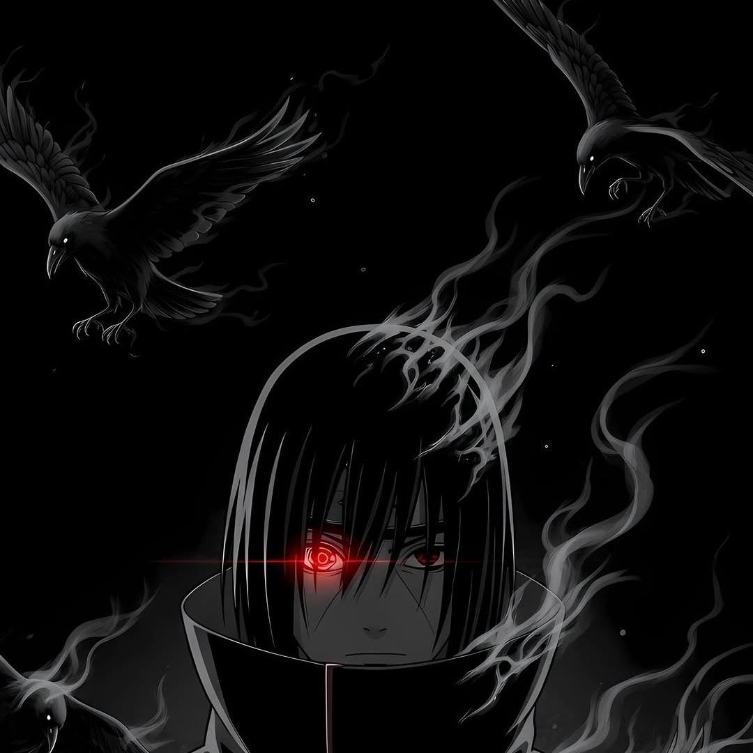 team_MOMO187