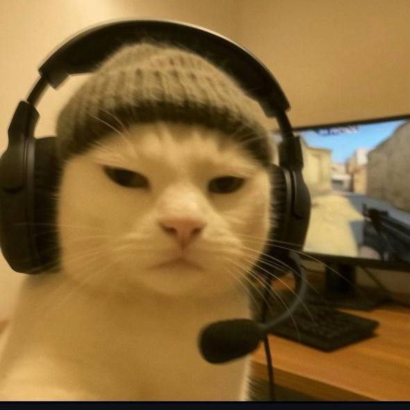 RealEttox