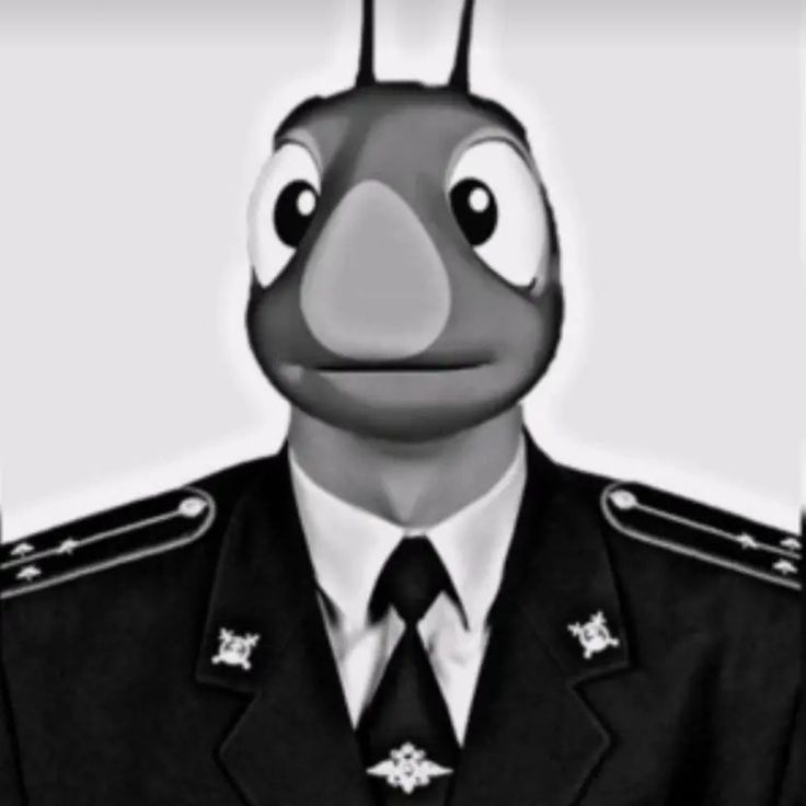 -nextur27_