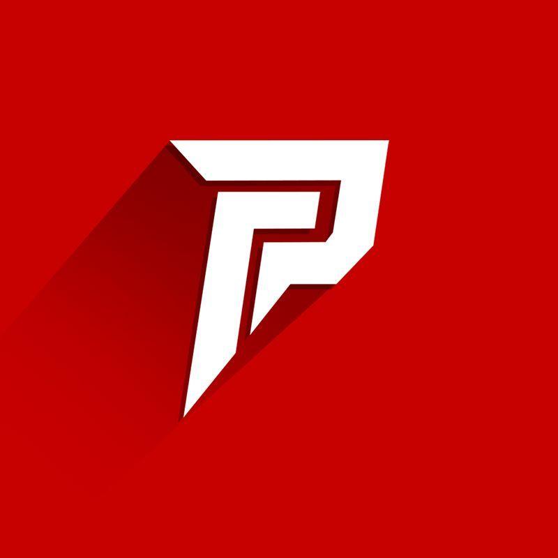 Team PuzL