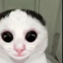 MAKINSBAKINS avatar