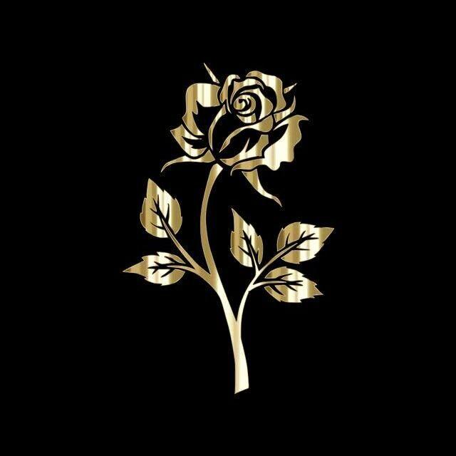 SY7 avatar