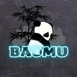 Player BaoMu avatar