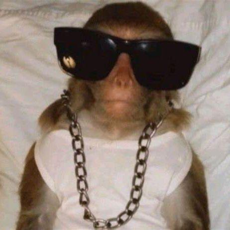 _Pisunchik__ avatar