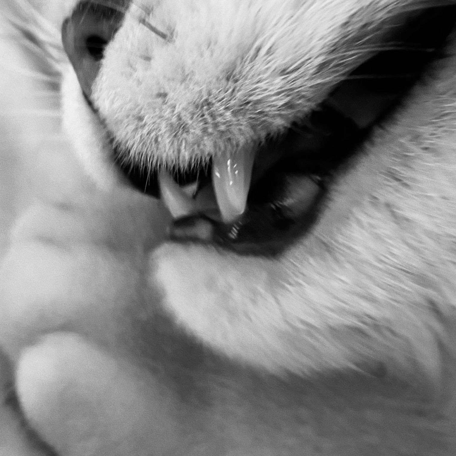 zloy_dobry avatar