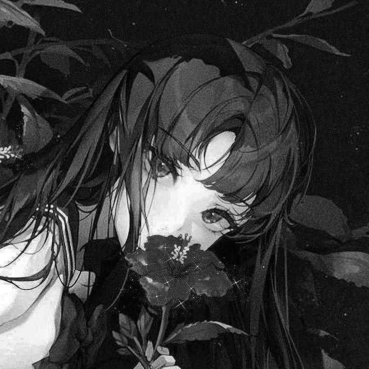 senb0nsakura avatar