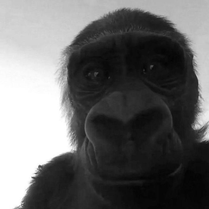 Kamyczek2137 avatar