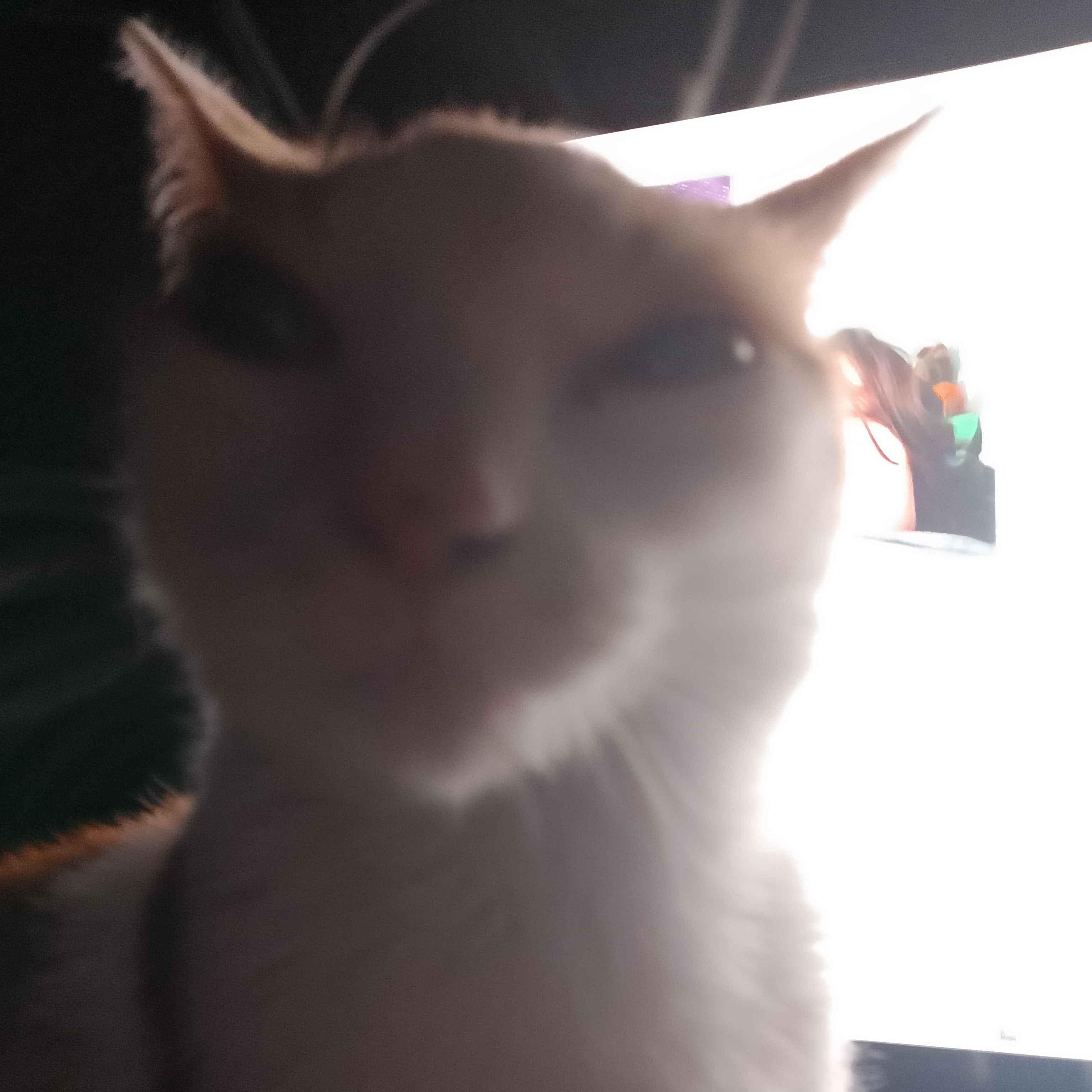 Porek_1234 avatar