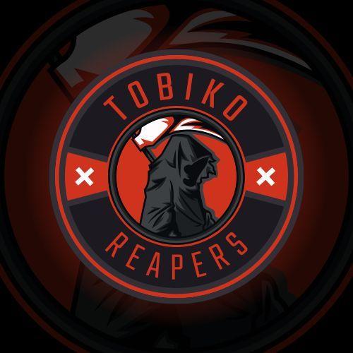 Player TOBIKO_ avatar