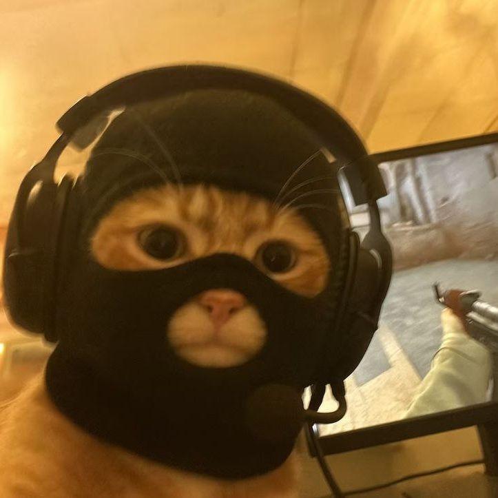 asiacaonima avatar