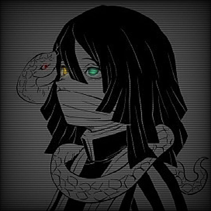 SHE_zoid avatar