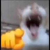 kenmxex avatar