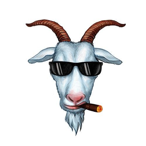 albeerTT-