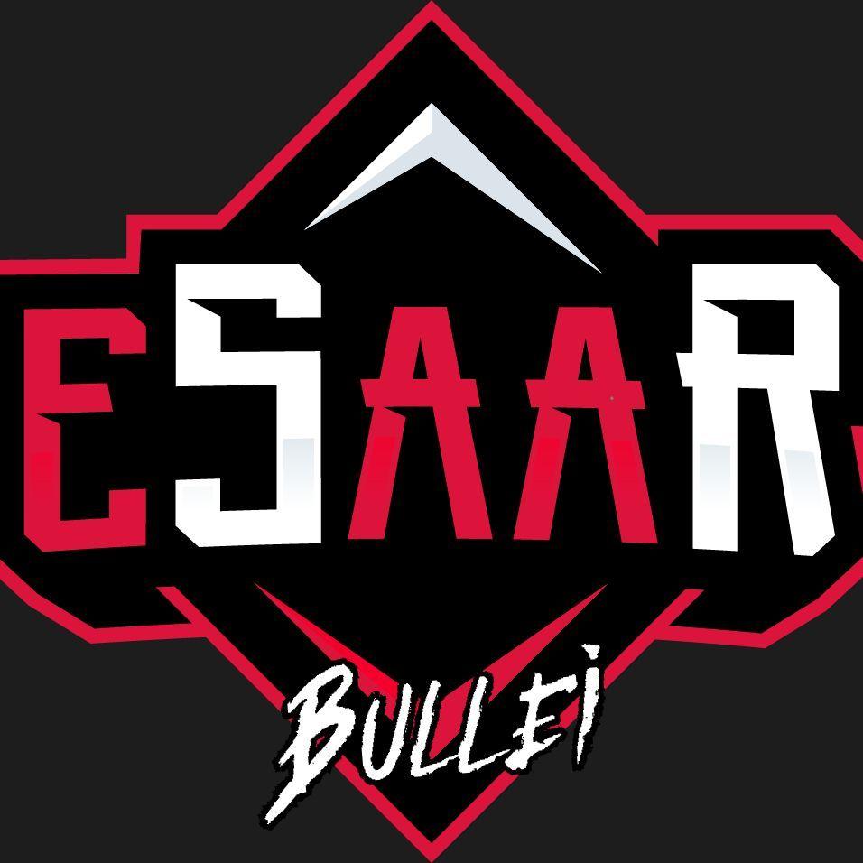 Bullei avatar