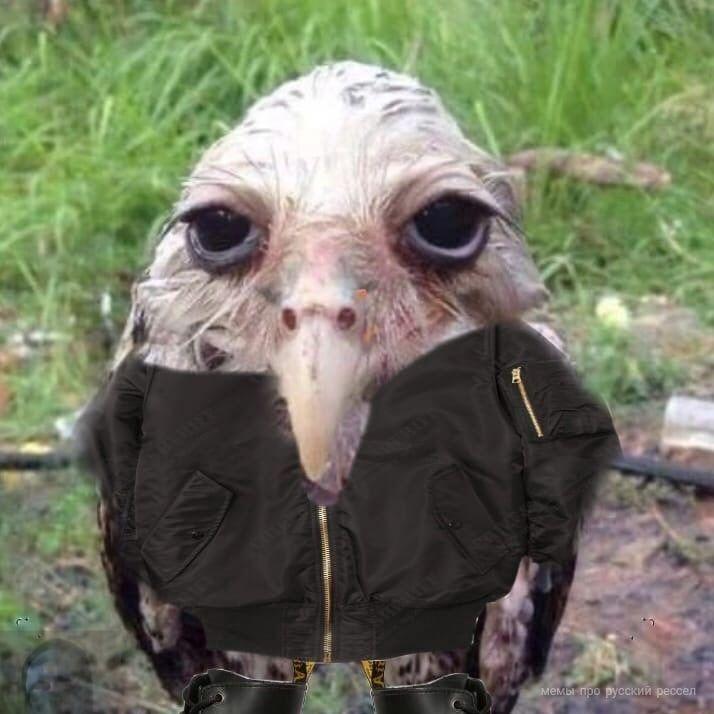 TERKEL_ avatar
