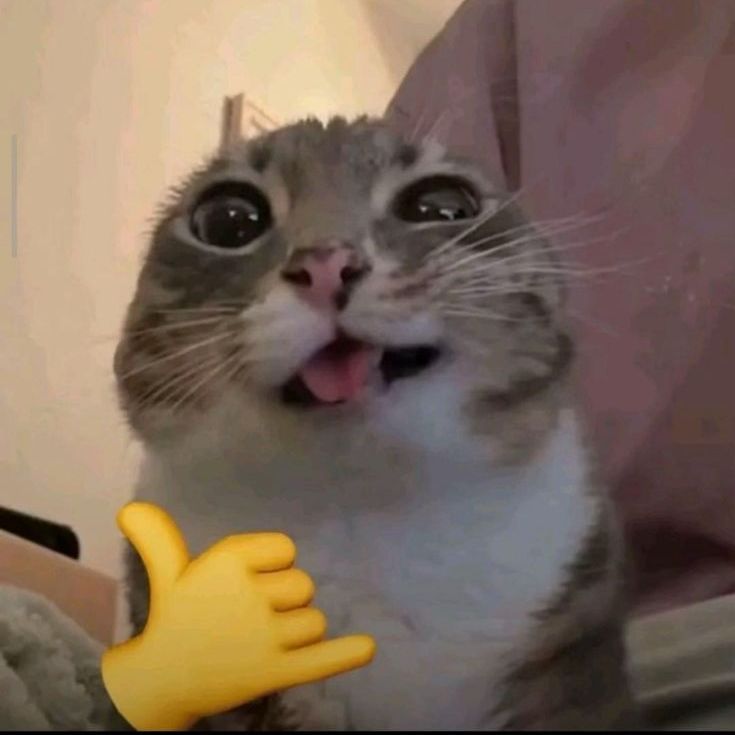 ashka52NGG