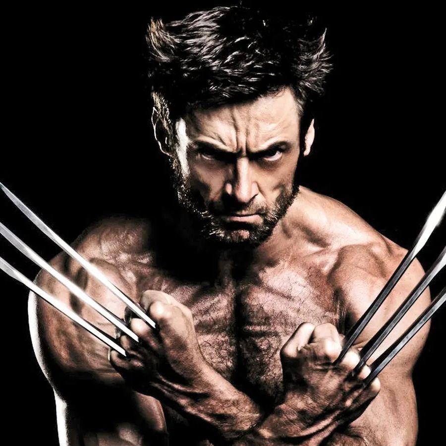 wolverine5 avatar