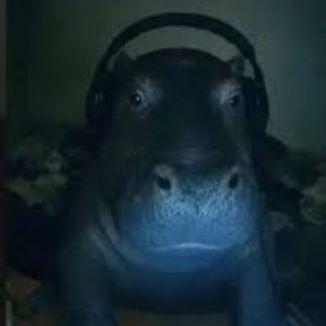 peakyll avatar