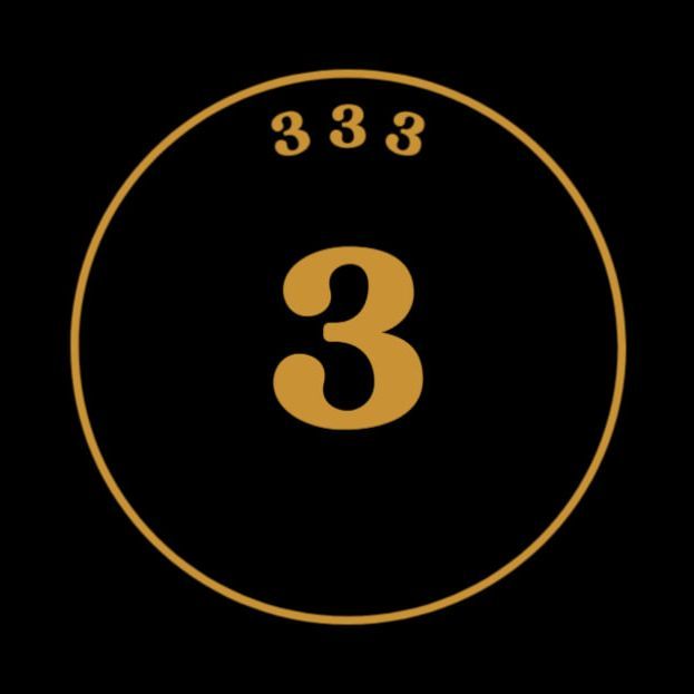 Team333