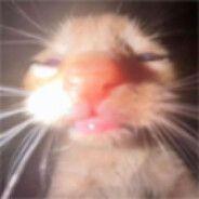 Necrossa avatar