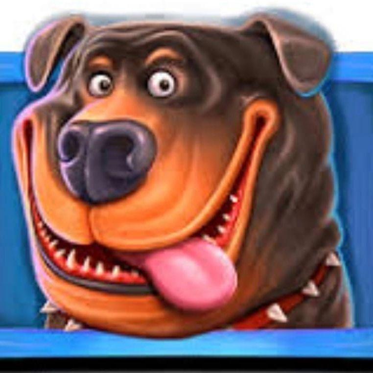 Player dog666- avatar