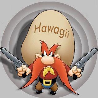 HAWAGGii avatar