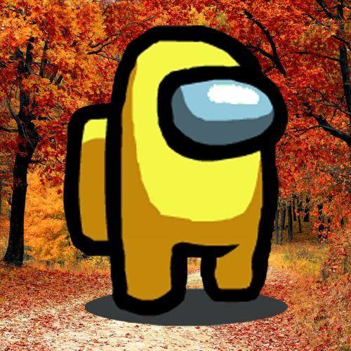 El_Mounji avatar