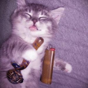 m9sko-