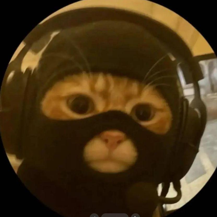 Tschaennik_ avatar