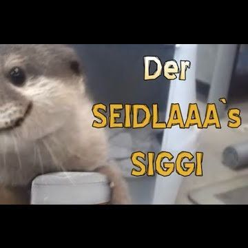 siggii420